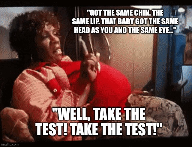 Norbit - Rasputia "Take The Test" | "GOT THE SAME CHIN. THE SAME LIP. THAT BABY GOT THE SAME HEAD AS YOU AND THE SAME EYE..."; "WELL, TAKE THE TEST! TAKE THE TEST!" | image tagged in funny,movies,eddie murphy | made w/ Imgflip meme maker