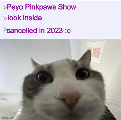 Cat looks inside | Peyo Pinkpaws Show; look inside; cancelled in 2023 :c | image tagged in cat looks inside | made w/ Imgflip meme maker