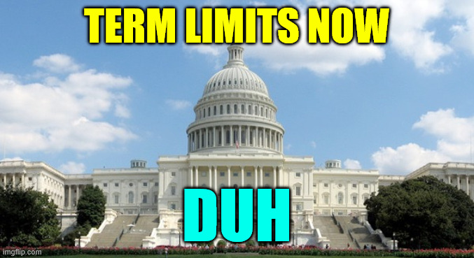 ugh congress  | TERM LIMITS NOW DUH | image tagged in ugh congress | made w/ Imgflip meme maker