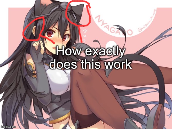 No animal has four ears like that | How exactly does this work | image tagged in tsundere catgirl,msmg | made w/ Imgflip meme maker