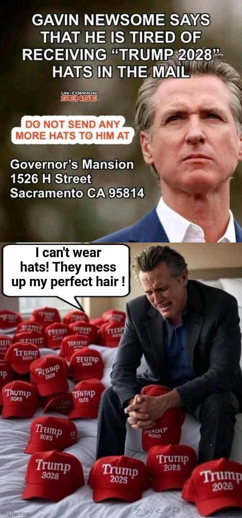 Send Gavin Newsom a hat | I can't wear hats! They mess up my perfect hair ! | image tagged in gavin,trump,hats | made w/ Imgflip meme maker