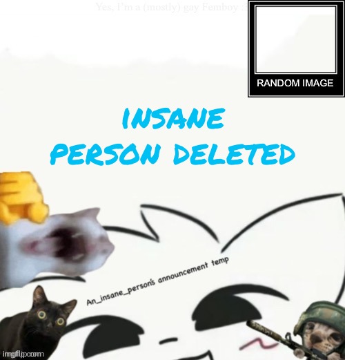 My lil announcement | insane person deleted | image tagged in my lil announcement | made w/ Imgflip meme maker