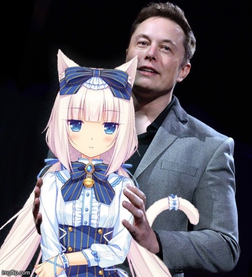 Elon musk’s latest photo is looking crazy | image tagged in msmg,elon musk | made w/ Imgflip meme maker