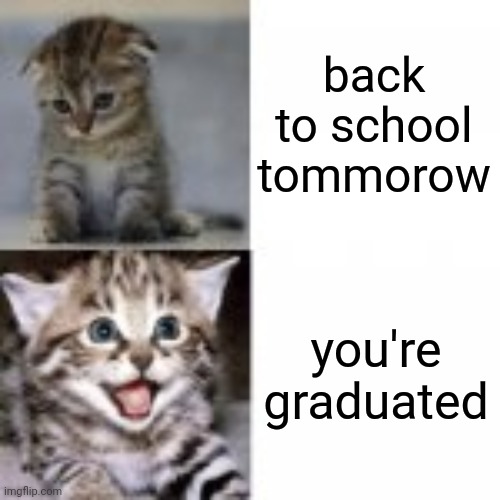 Sad Kitten to Happy Kitten | back to school tommorow you're graduated | image tagged in sad kitten to happy kitten | made w/ Imgflip meme maker