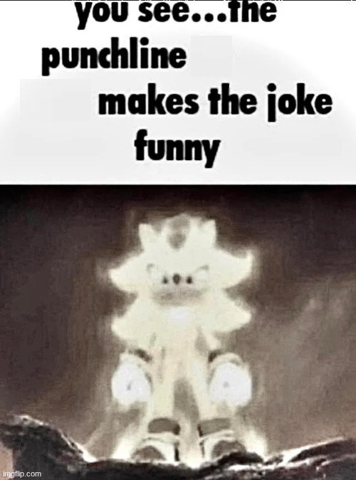 Shadow explains the joke | image tagged in shadow explains the joke | made w/ Imgflip meme maker
