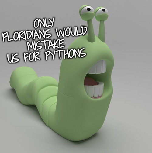 ONLY FLORIDIANS WOULD MISTAKE US FOR PYTHONS | made w/ Imgflip meme maker