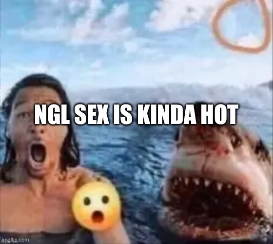 Shark | NGL SEX IS KINDA HOT | image tagged in shark | made w/ Imgflip meme maker