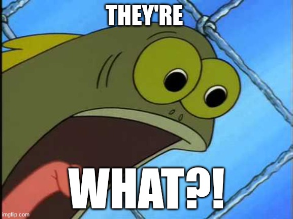 THEY'RE WHAT?! | image tagged in you what | made w/ Imgflip meme maker