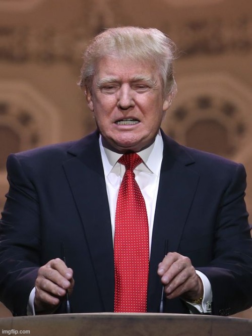 il donaldo trumpo | image tagged in donald trump | made w/ Imgflip meme maker