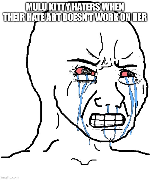 cry wojak | MULU KITTY HATERS WHEN THEIR HATE ART DOESN'T WORK ON HER | image tagged in cry wojak | made w/ Imgflip meme maker