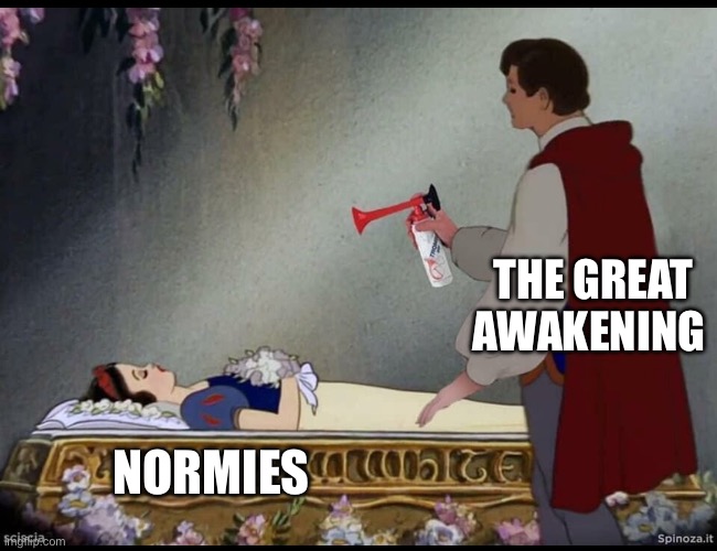 The great awakening | THE GREAT AWAKENING; NORMIES | image tagged in memes | made w/ Imgflip meme maker