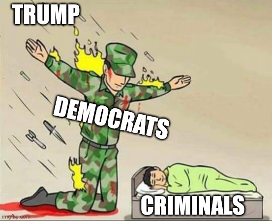 Chicago right now | TRUMP; DEMOCRATS; CRIMINALS | image tagged in soldier protecting sleeping child | made w/ Imgflip meme maker