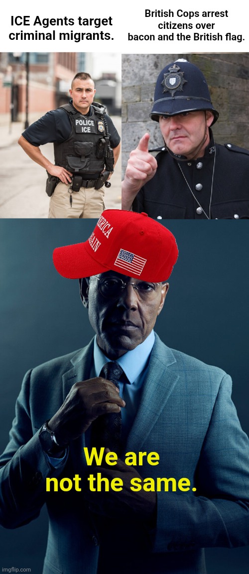 British Cops arrest citizens over bacon and the British flag. ICE Agents target criminal migrants. We are not the same. | image tagged in ice agents,gus fring we are not the same | made w/ Imgflip meme maker