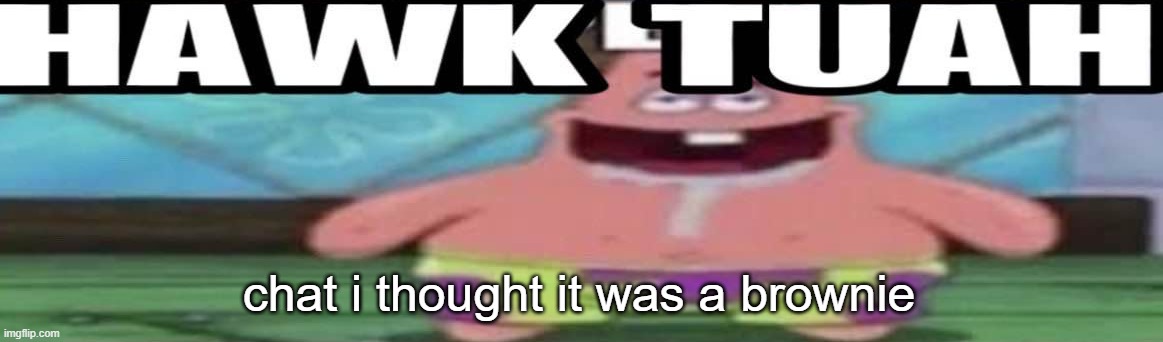 hawk tuah patrick v2 | chat i thought it was a brownie | image tagged in hawk tuah patrick v2 | made w/ Imgflip meme maker