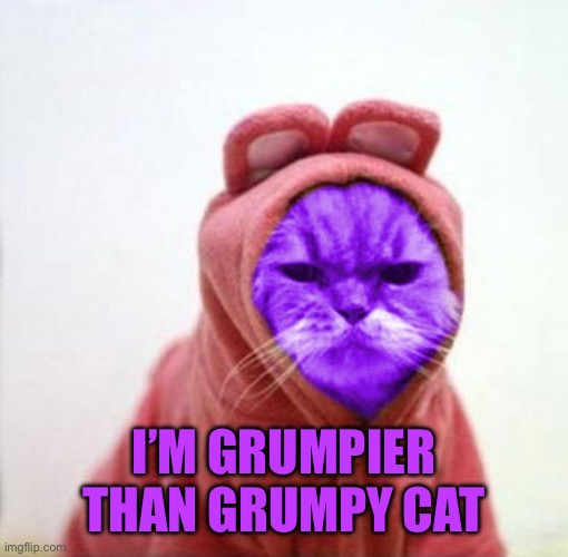 Sullen RayCat | I’M GRUMPIER THAN GRUMPY CAT | image tagged in sullen raycat | made w/ Imgflip meme maker