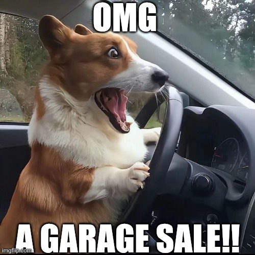 OMG A Garage Sale!! | OMG; A GARAGE SALE!! | image tagged in chrisjoines1 | made w/ Imgflip meme maker
