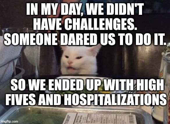 Smudge that darn cat | IN MY DAY, WE DIDN'T HAVE CHALLENGES. SOMEONE DARED US TO DO IT. SO WE ENDED UP WITH HIGH FIVES AND HOSPITALIZATIONS | image tagged in smudge that darn cat | made w/ Imgflip meme maker