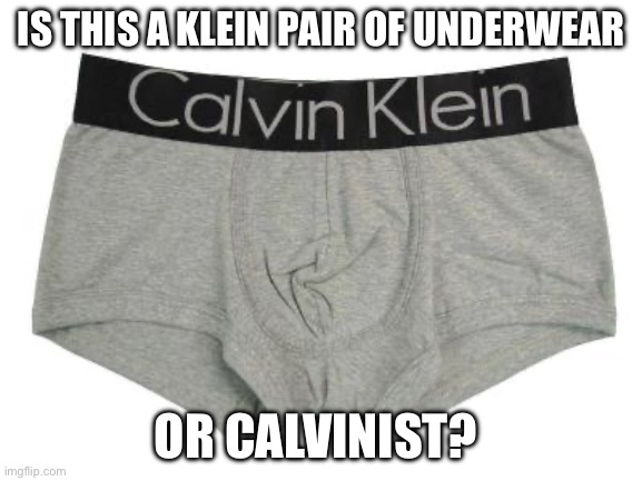 Calvinism or Klein Undies | IS THIS A KLEIN PAIR OF UNDERWEAR; OR CALVINIST? | image tagged in calvin klein,calvinism | made w/ Imgflip meme maker