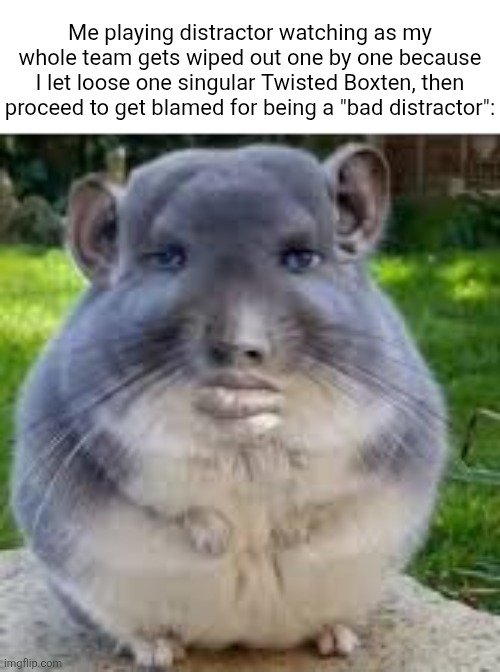 Oh noes!!! What will I ever do if a twisted is not running in circles in one confined area!?!?!?!?!? | Me playing distractor watching as my whole team gets wiped out one by one because I let loose one singular Twisted Boxten, then proceed to get blamed for being a "bad distractor": | image tagged in disappointed chinchilla,memes,roblox,dandy's world,dandy,roblox meme | made w/ Imgflip meme maker