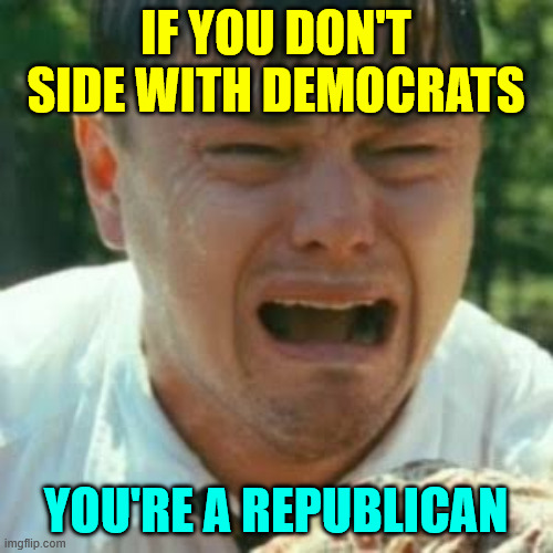 Crybaby Liberal Leonardo | IF YOU DON'T SIDE WITH DEMOCRATS YOU'RE A REPUBLICAN | image tagged in crybaby liberal leonardo | made w/ Imgflip meme maker