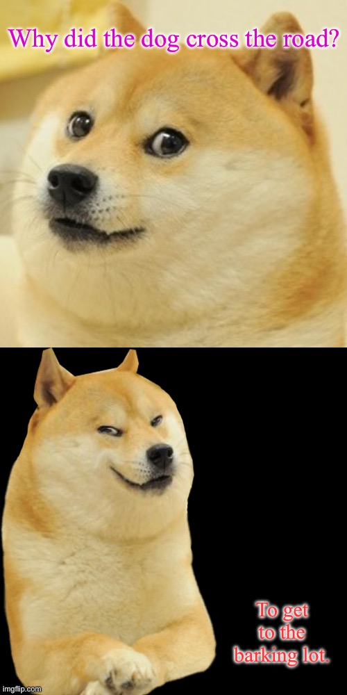 Doge | Why did the dog cross the road? To get to the barking lot. | image tagged in memes,doge,joke,unfunny,dog,dogs | made w/ Imgflip meme maker