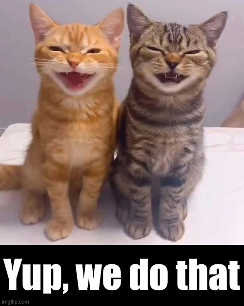 Yup, we do that | made w/ Imgflip meme maker