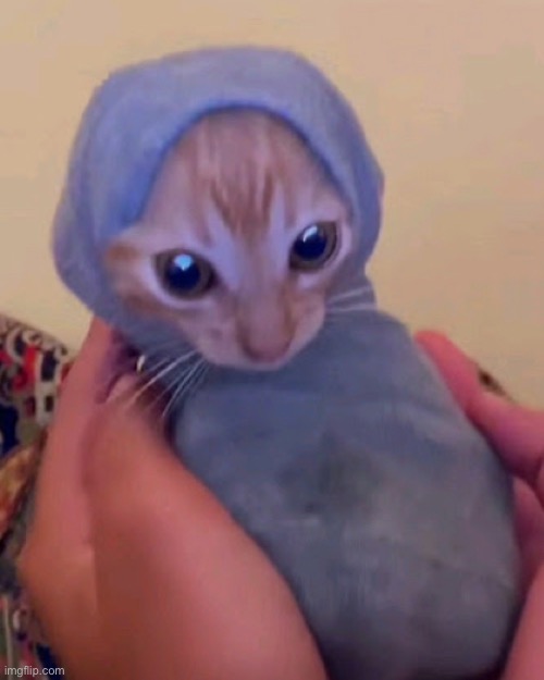 sock | made w/ Imgflip meme maker