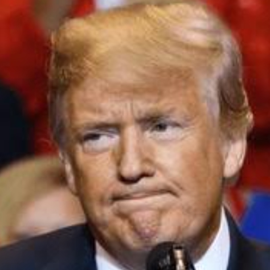 Sad Trump Blank Meme Template