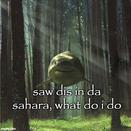 saw dis in da sahara, what do i do | made w/ Imgflip meme maker