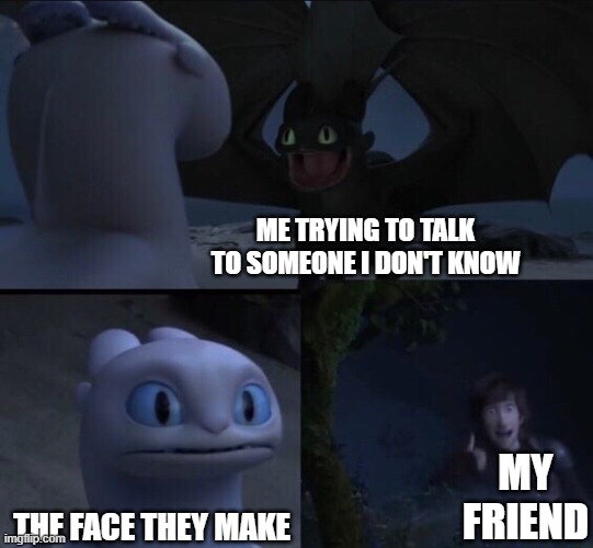 me talking to people | ME TRYING TO TALK TO SOMEONE I DON'T KNOW; MY FRIEND; THE FACE THEY MAKE | image tagged in how to train your dragon 3 | made w/ Imgflip meme maker