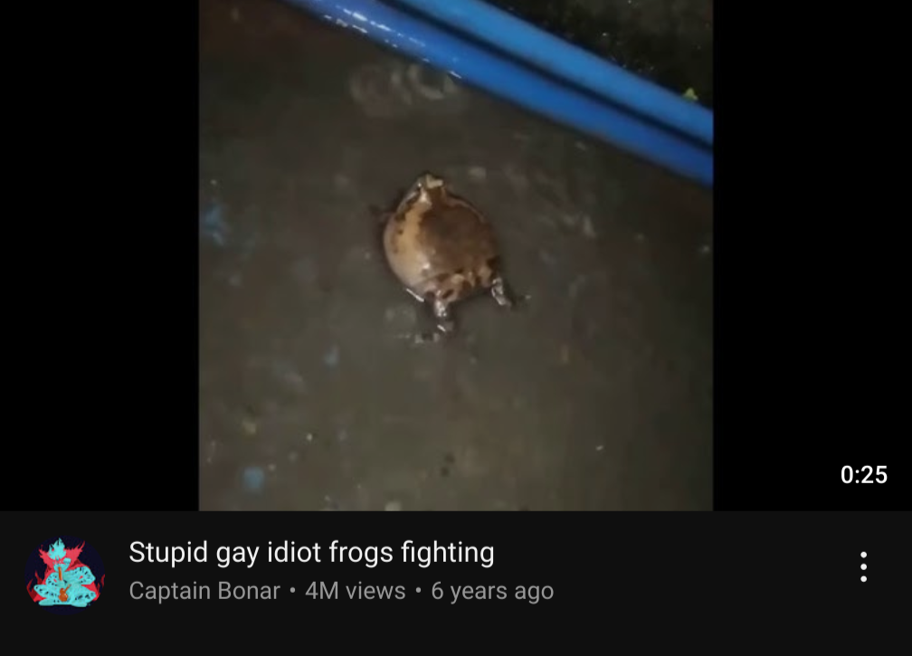stupid gay idiot frogs fighting Blank Meme Template