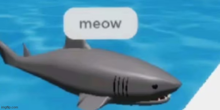 shar | image tagged in shar | made w/ Imgflip meme maker