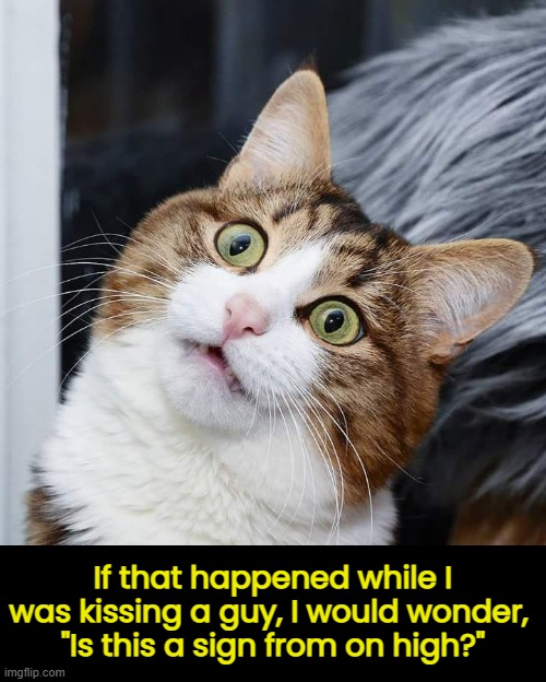 If that happened while I was kissing a guy, I would wonder, 
"Is this a sign from on high?" | made w/ Imgflip meme maker