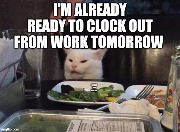 Smudge that darn cat | I'M ALREADY READY TO CLOCK OUT FROM WORK TOMORROW | image tagged in smudge that darn cat | made w/ Imgflip meme maker