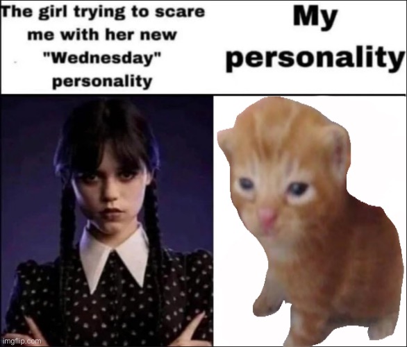 Herbert | image tagged in the girl trying to scare me with her new wednesday personality | made w/ Imgflip meme maker