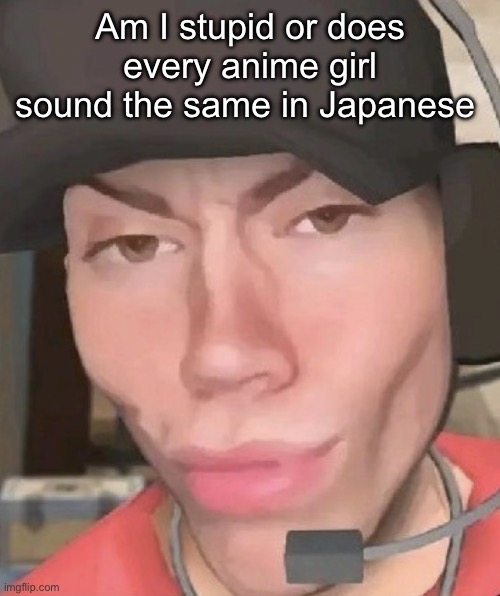 Irl scout | Am I stupid or does every anime girl sound the same in Japanese | image tagged in irl scout | made w/ Imgflip meme maker
