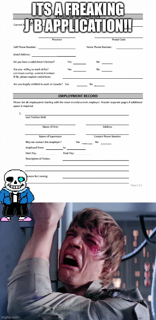 J*b Application noooooo! | ITS A FREAKING J*B APPLICATION!! | image tagged in job application blank,luke nooooo | made w/ Imgflip meme maker