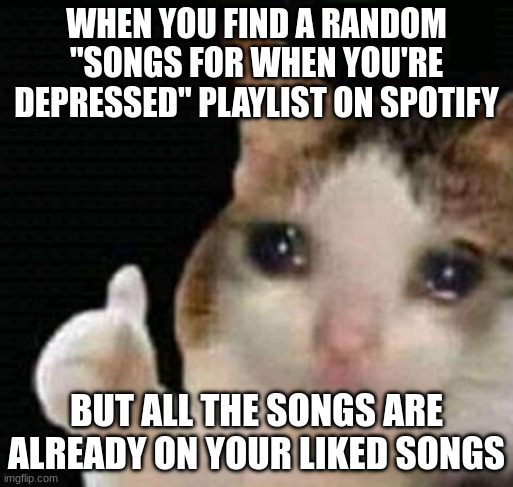 im fine.... | WHEN YOU FIND A RANDOM "SONGS FOR WHEN YOU'RE DEPRESSED" PLAYLIST ON SPOTIFY; BUT ALL THE SONGS ARE ALREADY ON YOUR LIKED SONGS | image tagged in sad thumbs up cat,depression,songs,sad songs,tags | made w/ Imgflip meme maker