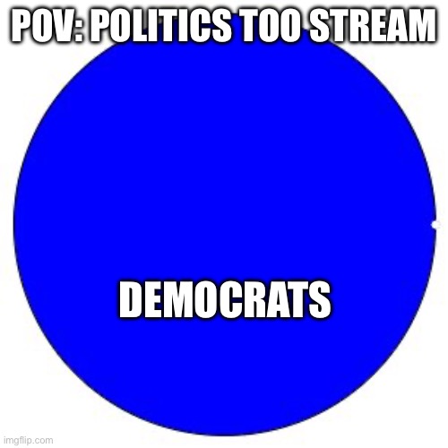 100% Pie Chart | POV: POLITICS TOO STREAM DEMOCRATS | image tagged in 100 pie chart | made w/ Imgflip meme maker