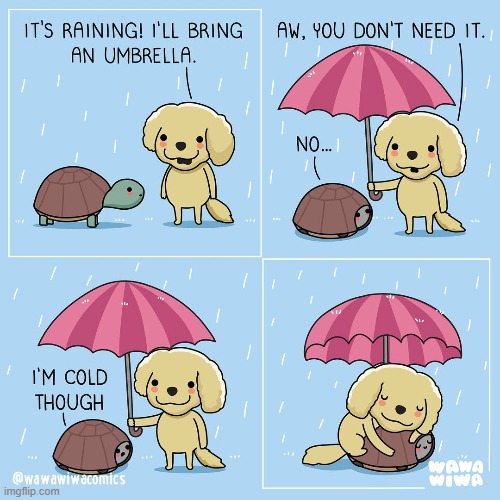 image tagged in dog,tortoise,rain,umbrella,cold,hug | made w/ Imgflip meme maker