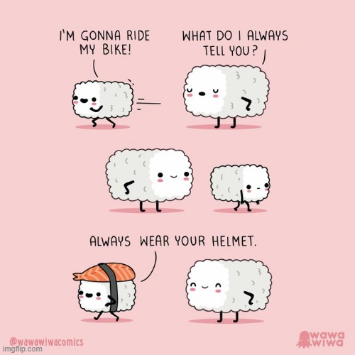 image tagged in rice,bike,safety,helmet,salmon,sushi | made w/ Imgflip meme maker