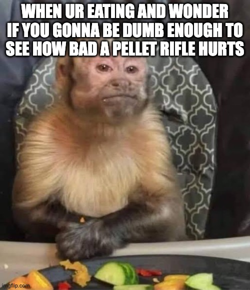 le me is stoobid | WHEN UR EATING AND WONDER IF YOU GONNA BE DUMB ENOUGH TO SEE HOW BAD A PELLET RIFLE HURTS | image tagged in rifle | made w/ Imgflip meme maker