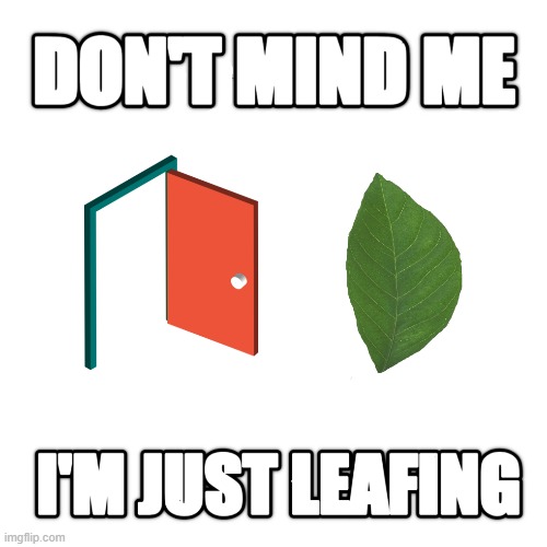 DON'T MIND ME I'M JUST LEAFING meme | image tagged in leaf,leaving,funny memes,memes | made w/ Imgflip meme maker