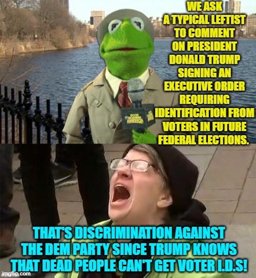 Well . . . one cannot deny the truth of that. | WE ASK A TYPICAL LEFTIST TO COMMENT ON PRESIDENT DONALD TRUMP SIGNING AN EXECUTIVE ORDER REQUIRING IDENTIFICATION FROM VOTERS IN FUTURE FEDERAL ELECTIONS. THAT'S DISCRIMINATION AGAINST THE DEM PARTY SINCE TRUMP KNOWS THAT DEAD PEOPLE CAN'T GET VOTER I.D.S! | image tagged in kermit news report | made w/ Imgflip meme maker