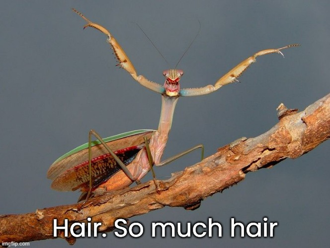 Hair. So much hair | made w/ Imgflip meme maker