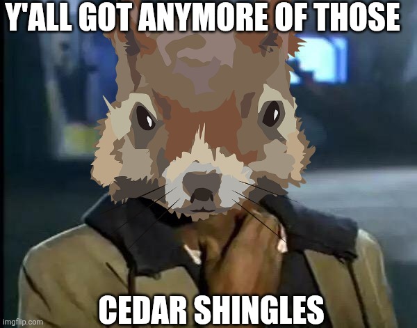 Y'ALL GOT ANYMORE OF THOSE CEDAR SHINGLES | image tagged in memes,y'all got any more of that | made w/ Imgflip meme maker