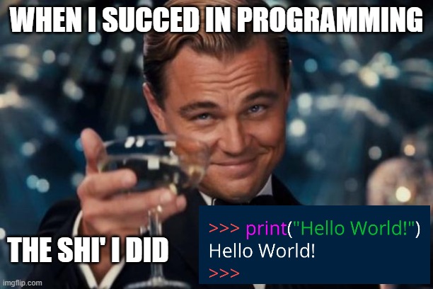 me in programming hah funny ??? | WHEN I SUCCED IN PROGRAMMING; THE SHI' I DID | image tagged in memes,leonardo dicaprio cheers | made w/ Imgflip meme maker