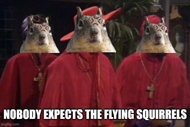 Nobody Expects the Spanish Inquisition Monty Python | NOBODY EXPECTS THE FLYING SQUIRRELS | image tagged in nobody expects the spanish inquisition monty python | made w/ Imgflip meme maker