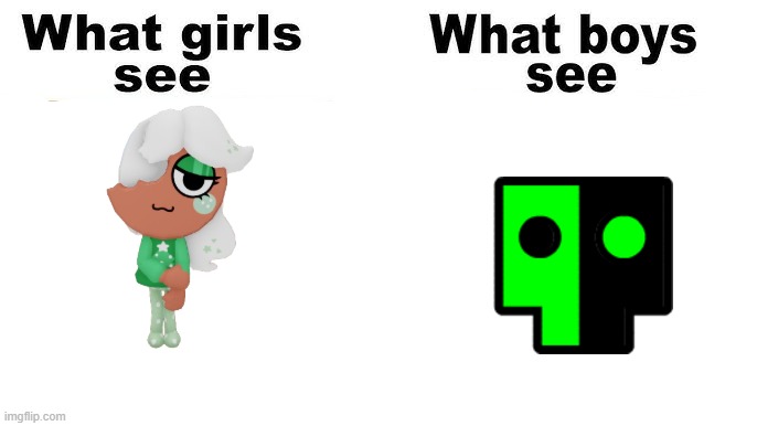 WHAT MY SISTER SEE WHAT MY BROTHER SEES | image tagged in stupid meme | made w/ Imgflip meme maker