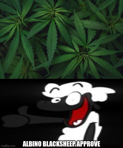 Me Ruining A Fill In Meme #251 | ALBINO BLACKSHEEP APPROVE | image tagged in ruin this fill in meme 251 | made w/ Imgflip meme maker